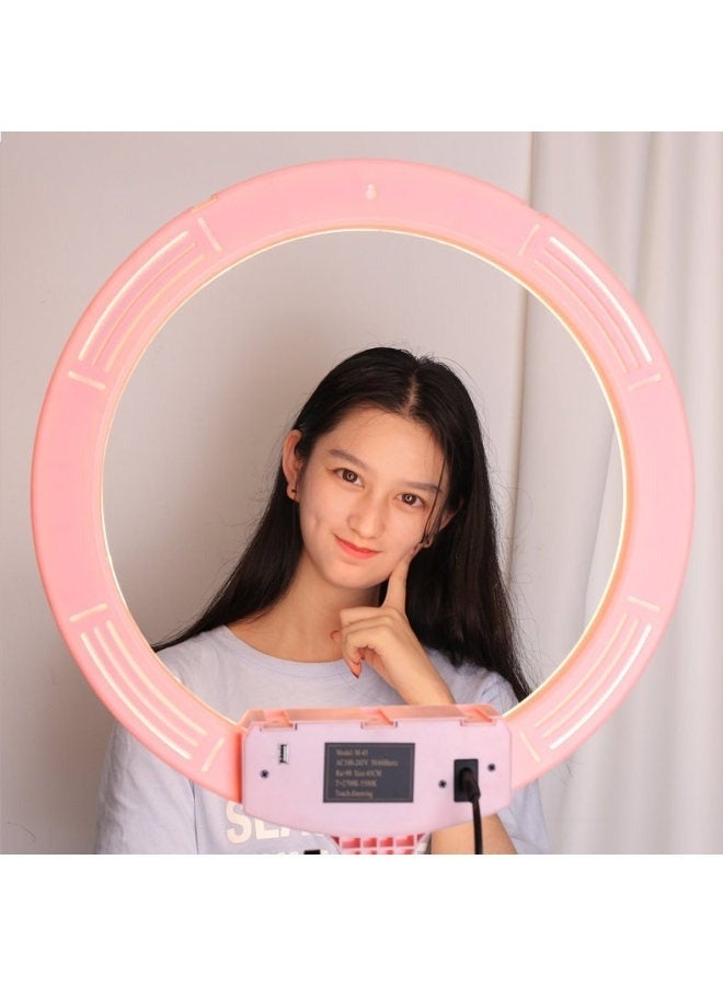 حلقة إضاءة سيلفي مقاس 10 بوصات مع حامل ثلاثي القوائم بطول 210 سم وحامل للهاتف المحمول، لون أسود - Image 3